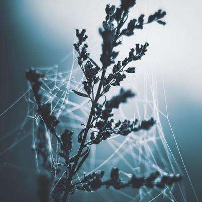 麻将胡了pg网页版APP下载