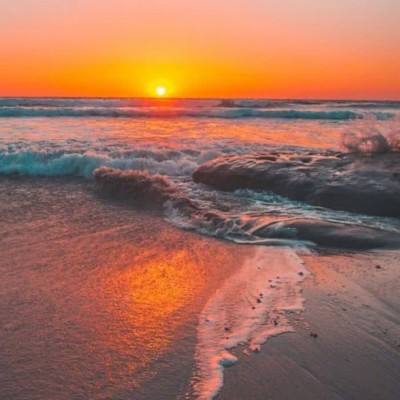 波胆app官网下载手机版