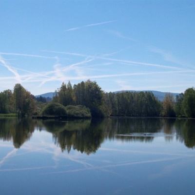 博鱼app下载(中国)官方网站