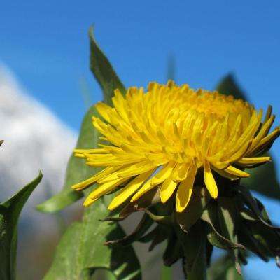 火狐电竞app下载