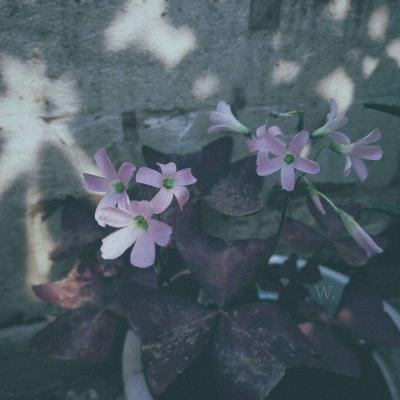 bat365在线官网登录入口