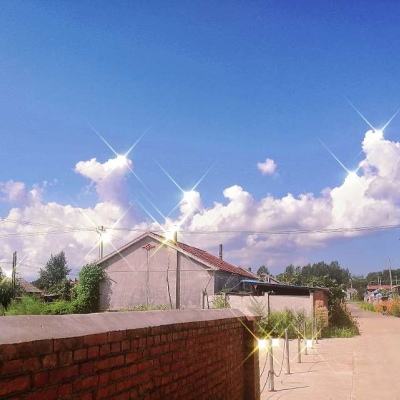 b体育官方官网入口