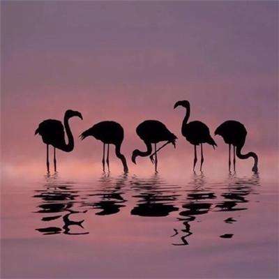 环球体育官方登录入口